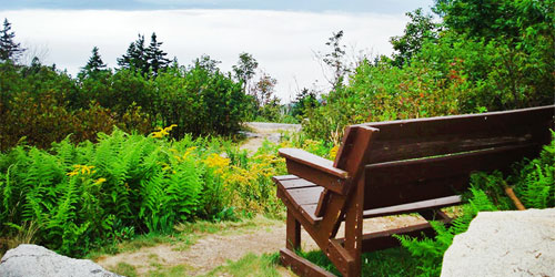 Mount-ascutney-state-park-bench-view-credit-vtstateparks
