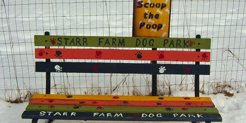 starr farm dog park in burlington vt